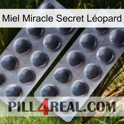 Miel Miracle Secret Léopard 31